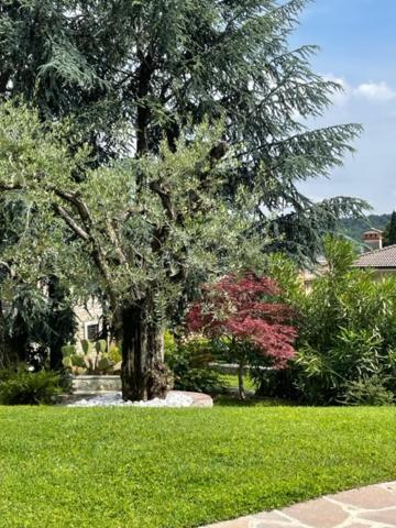 La Casa In Collina Lejlighed Caprino Veronese Eksteriør billede